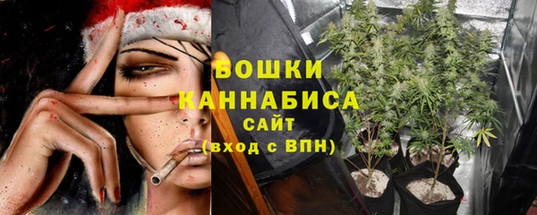 молекула духа Снежногорск